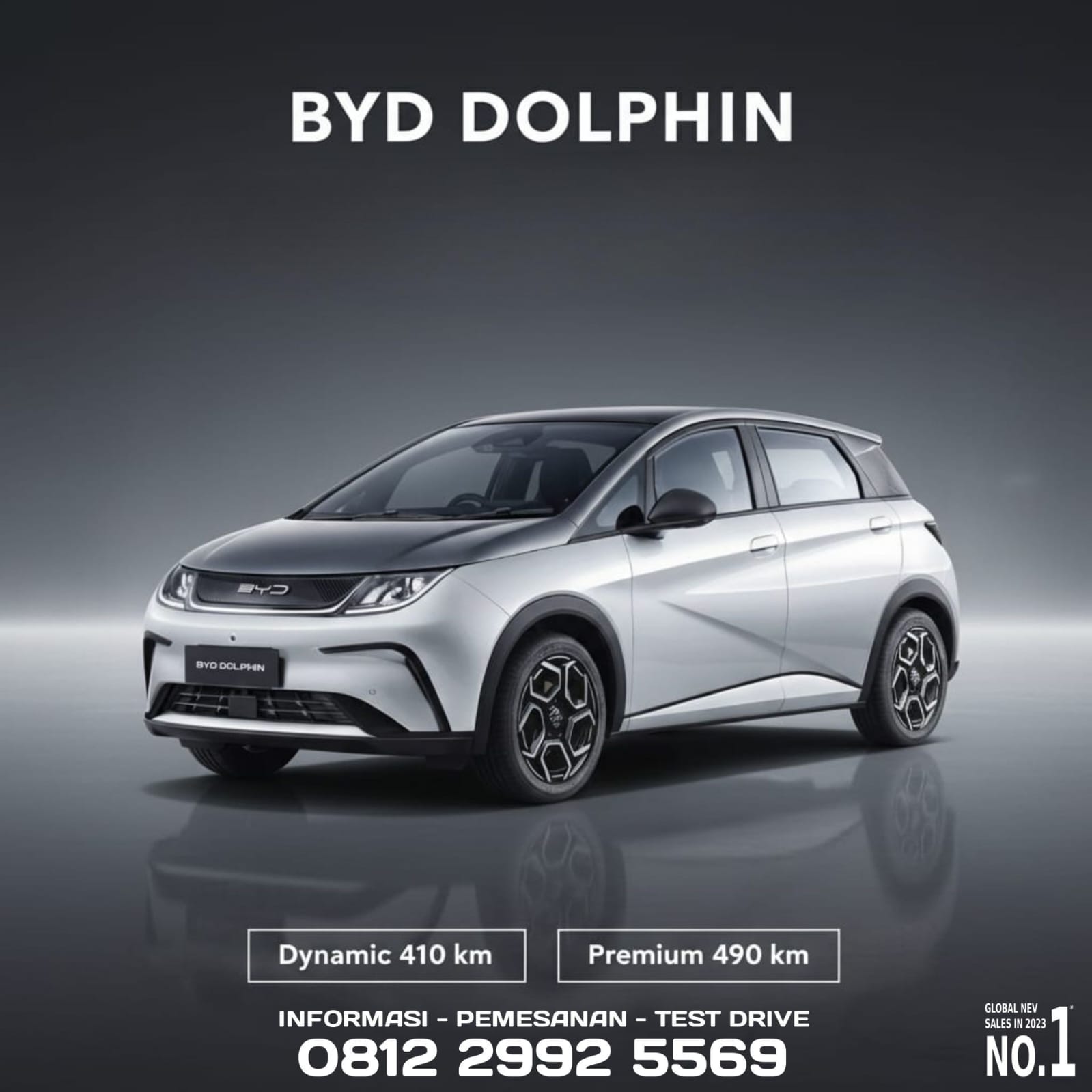 Image BYD Dolpin